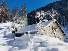 talalpsee