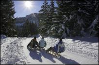 winterausflug mit gruppen